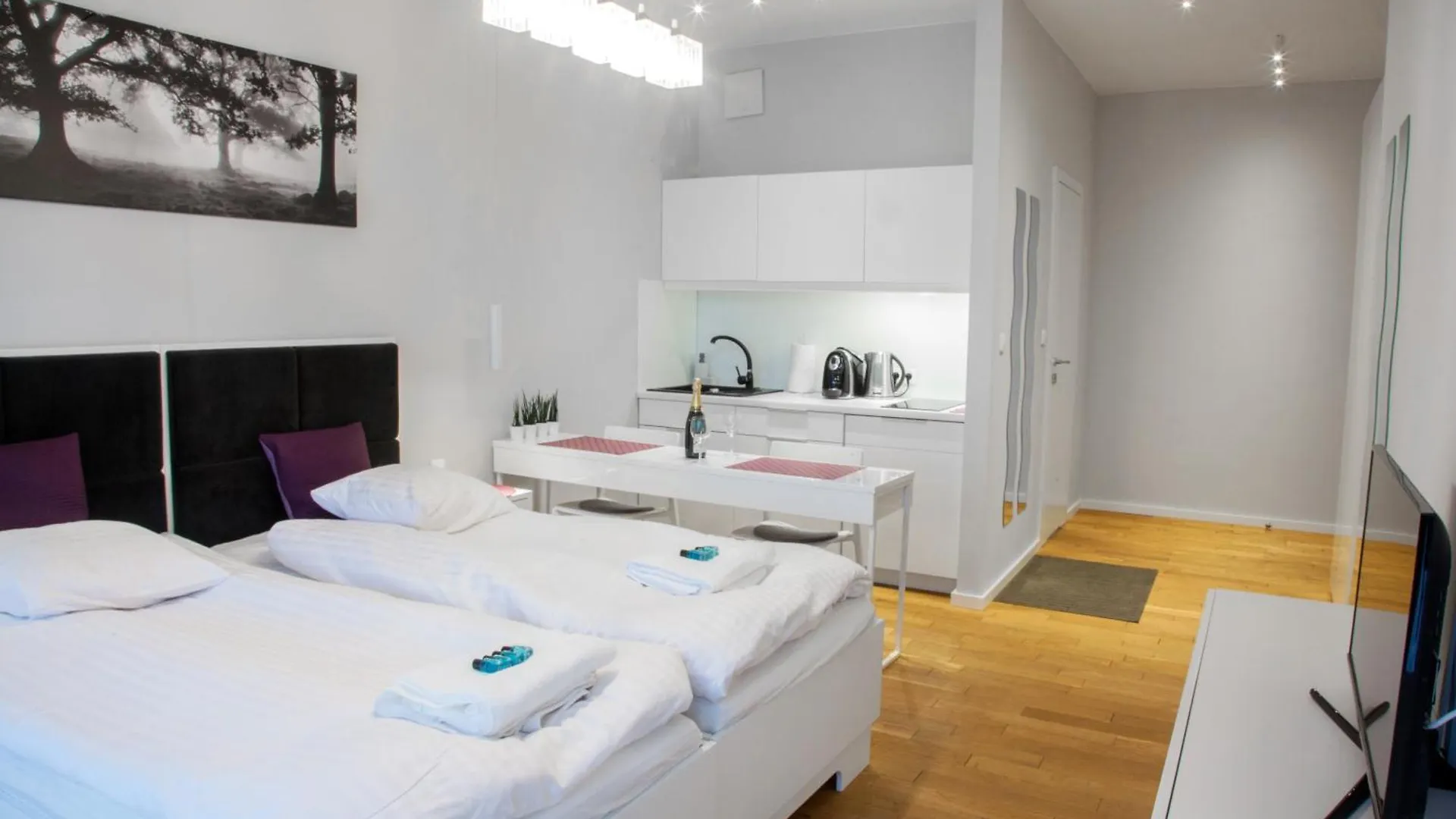 Triton Apartments Warsaw 0*,  Poland